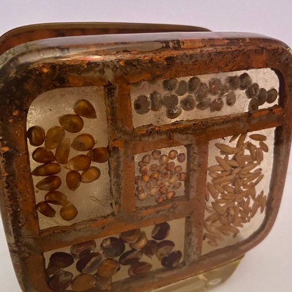 Gamut Designs Napkin Holder Dry Seeds Lucite Resin Made USA - Picture 3 of 5